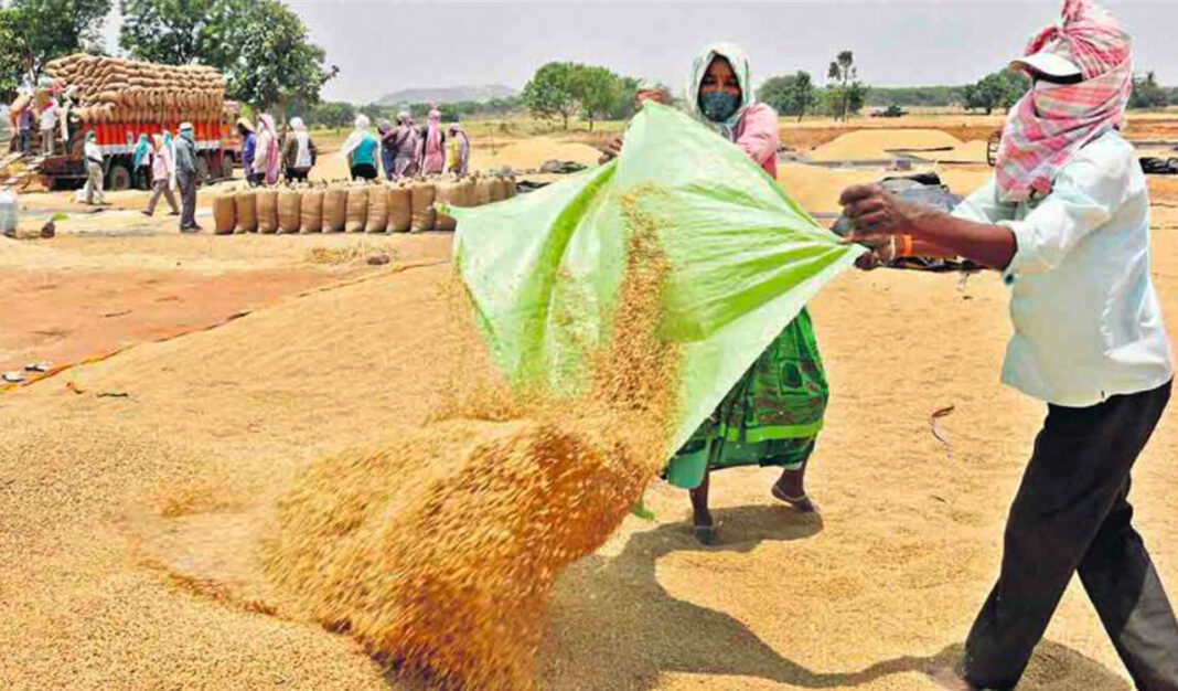 ఎల్ నినో ఎఫెక్ట్ : వరి సాగుపై దిక్కుతోచని స్థితిలో కరీంనగర్ రైతులు
– PARAHUSHAR NEWS