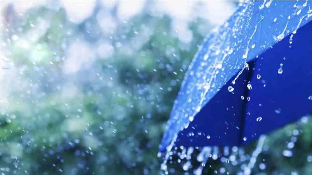 Rain 