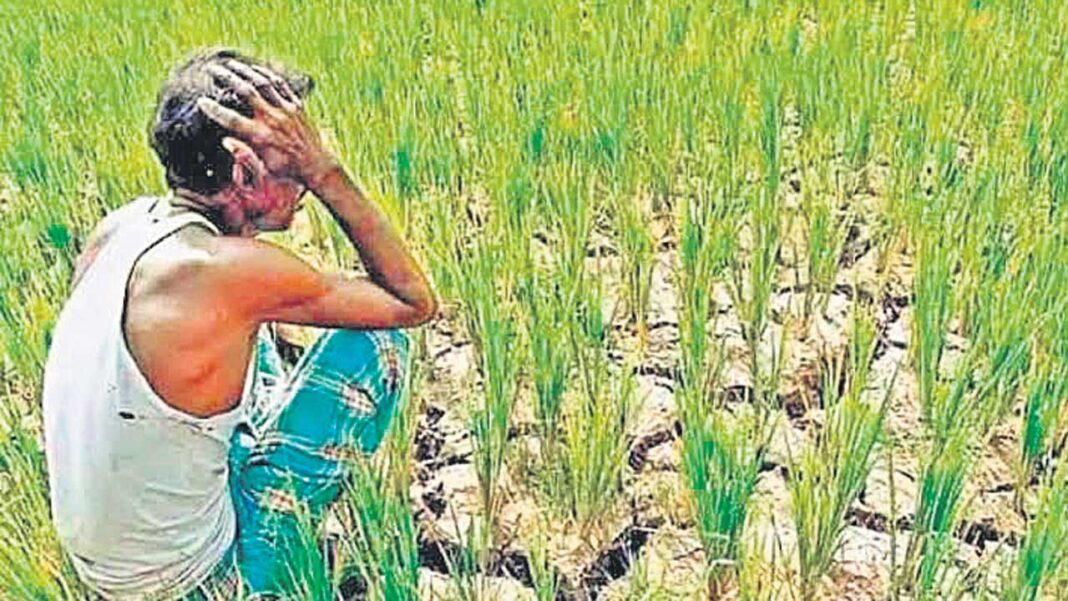 Farmer Insurance Gallanthu-Namasthe Telangana
– PARAHUSHAR NEWS