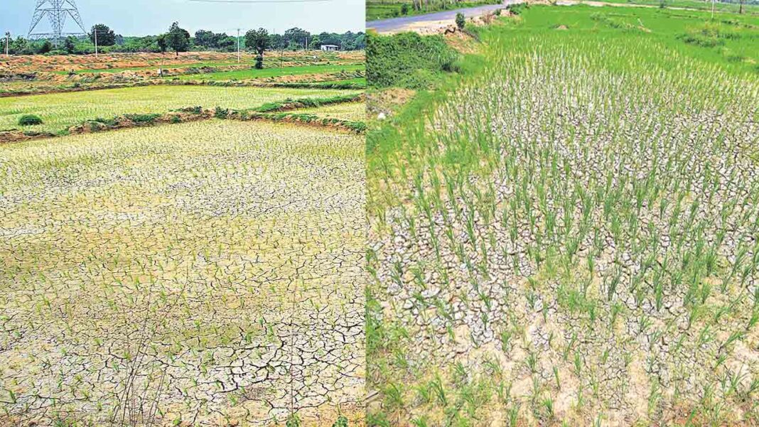 Will cultivation under boreholes fail?-Namasthe Telangana
– PARAHUSHAR NEWS