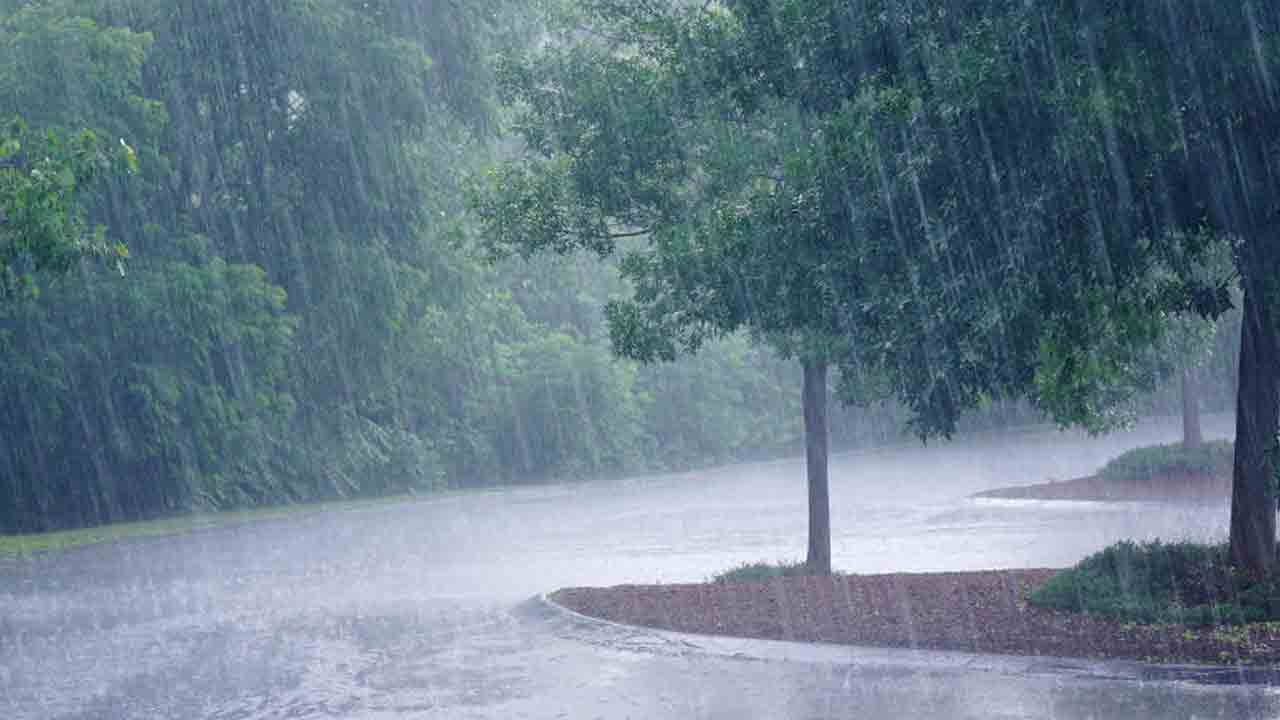 Heavy Rain | Break Monsoon in the state.. heavy rains after 25th of this month!