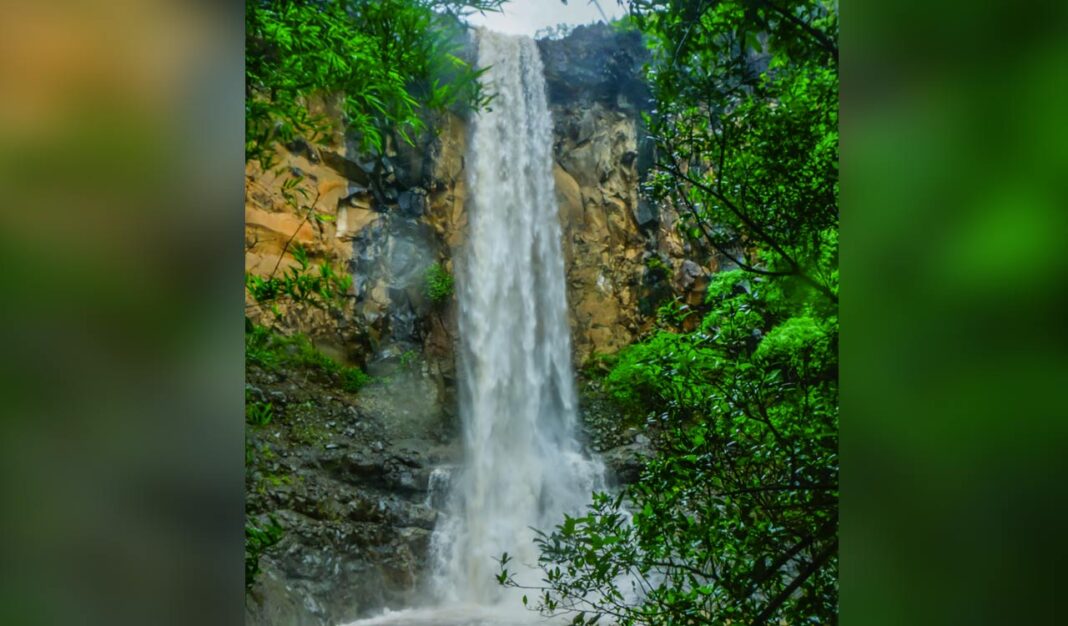 కాలానుగుణ జలపాతాలు పూర్వపు ఆదిలాబాద్‌లో తిరిగి జీవం పోసుకున్నాయి
