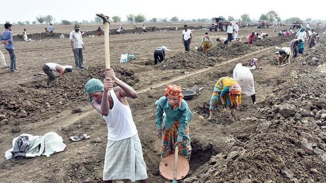 MGNREGS పరివర్తన తర్వాత మొదటి పక్షం రోజుల్లో వర్కర్ రోల్స్ 67.6 లక్షలు తగ్గిపోయాయని లిబ్టెక్ కనుగొంది
– PARAHUSHAR NEWS