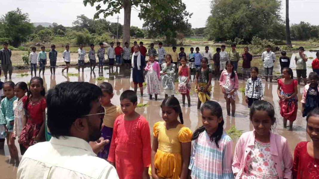 Students Farming | Students planting paddy-Namasthe Telangana
– PARAHUSHAR NEWS