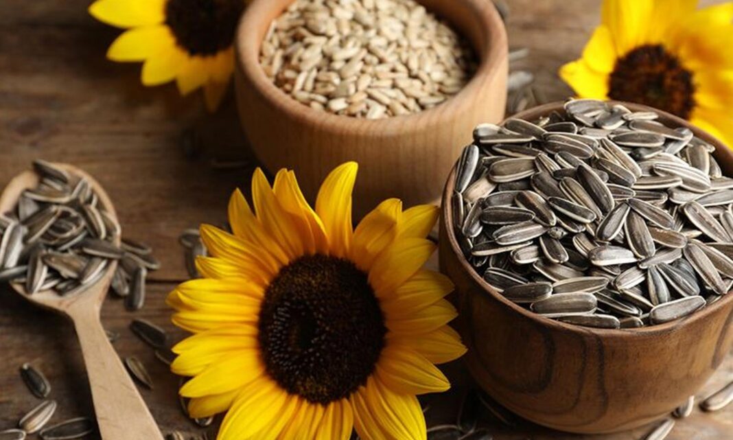 Sunflower Seeds: Sunflower seeds.. If you eat one spoon a day, amazing benefits!
