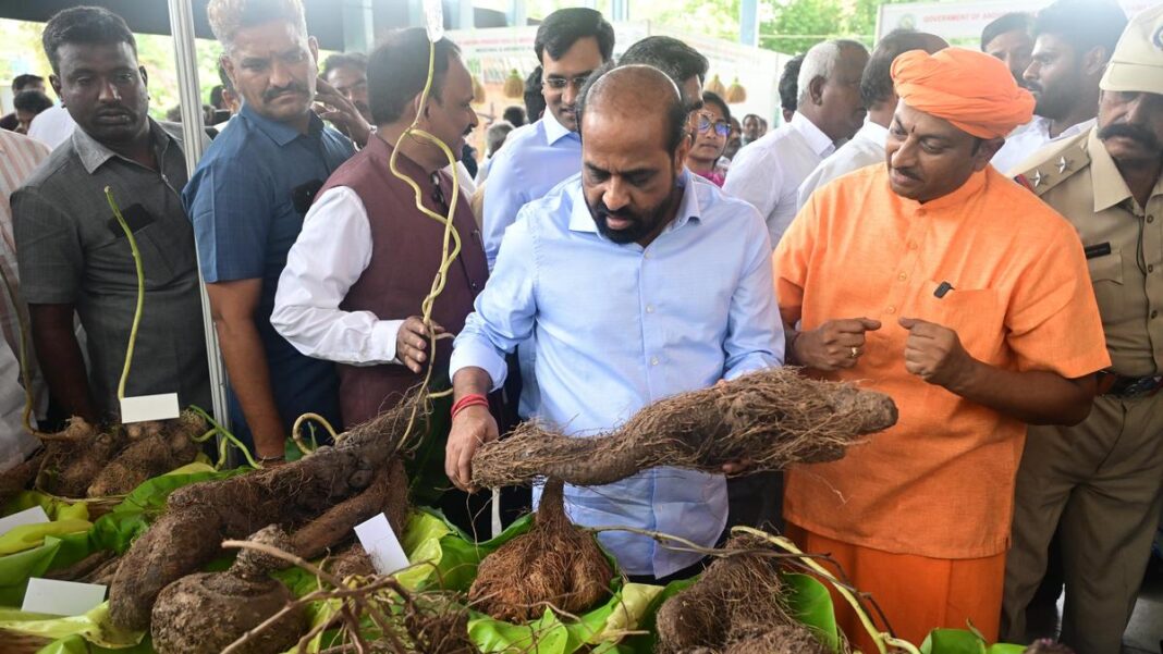 ఏపీలో నాలుగు ఆయుష్ కాలేజీలు ఏర్పాటు చేస్తామని ఆరోగ్య మంత్రి
