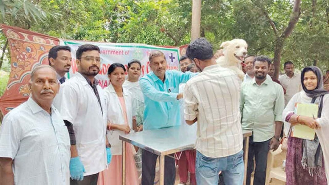 యాంటీ-రేబిస్ టీకా డ్రైవ్ ప్రపంచ జూనోసెస్ దినోత్సవాన్ని సూచిస్తుంది
– PARAHUSHAR NEWS