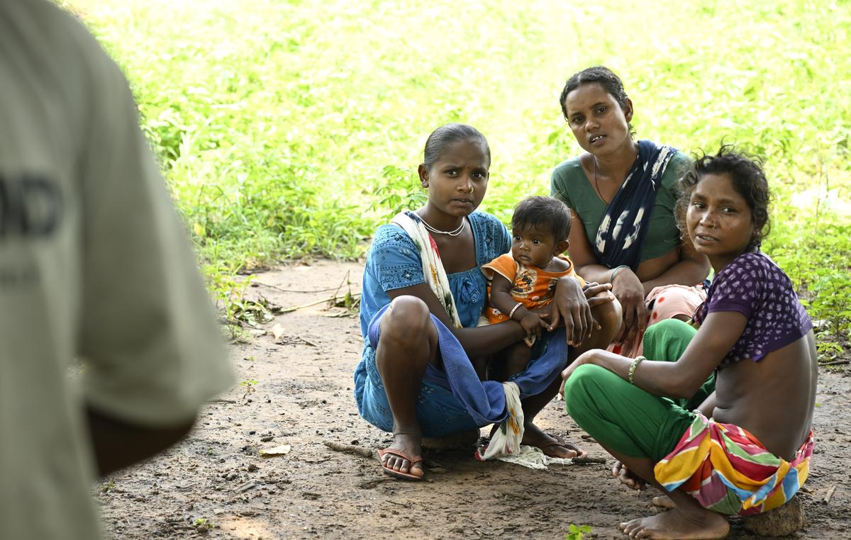 Residents of Pamunuru village in the Karreguttalu hills of Mulugu district. Residents of Pamunuru village in the Karreguttalu hills of Mulugu district.