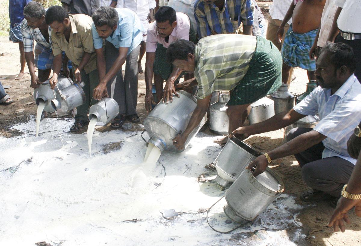 A file photo of corporation workers destroying adulterated milk seized from milk vendors during a raid conducted in Madurai.
