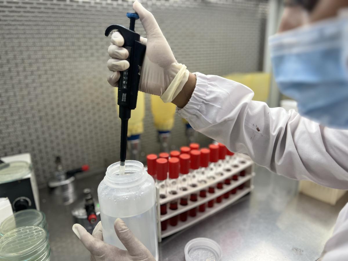 A lab test.