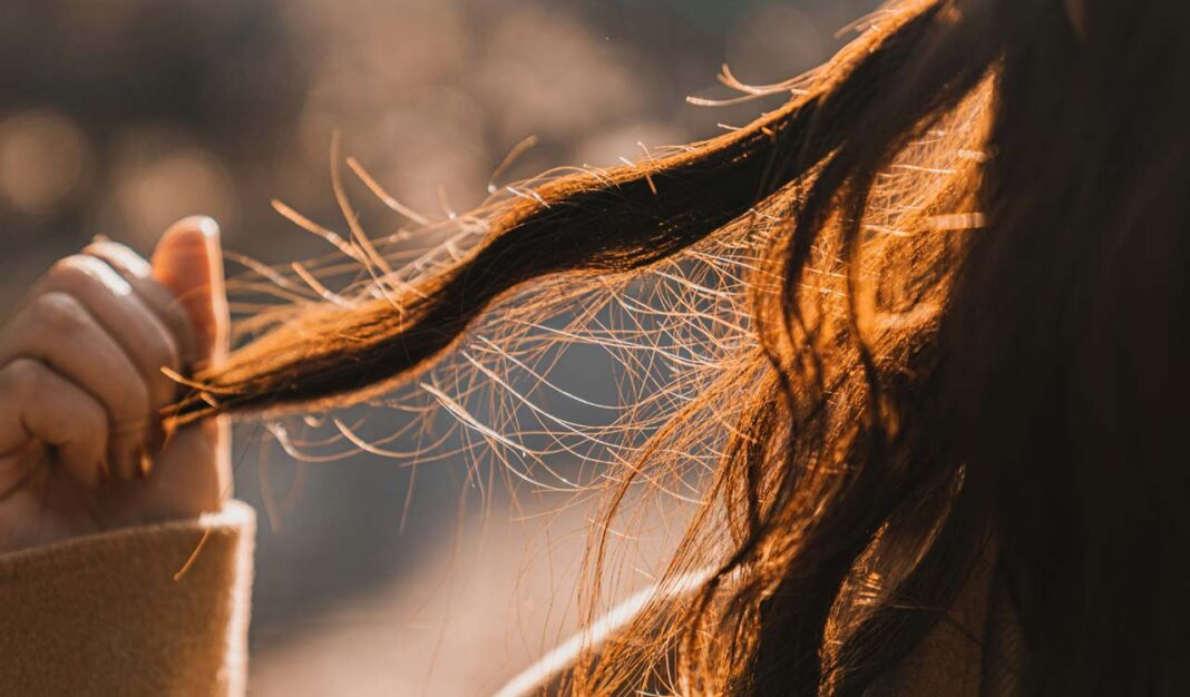 Hair fall: Five nutrients and thyroid health to consider